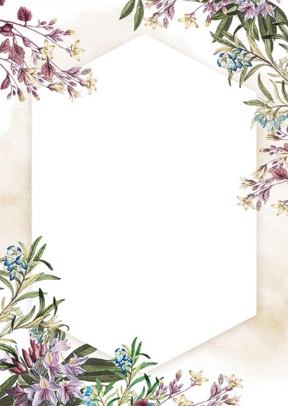 DYPLOM ARGO GALERIA PAPIERU UMBRIA 170g/m2 (25 szt)