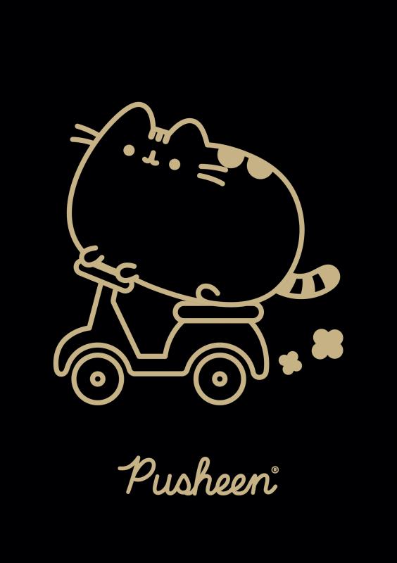 ZESZYT A5/60 # PUSHEEN LAMINAT