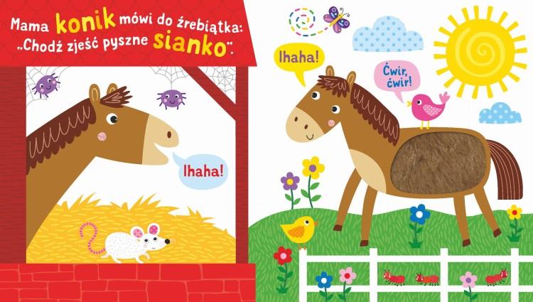 KSIĄŻECZKA SENSOKSIĄŻKA-WIEŚ