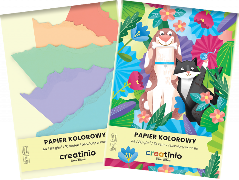 PAPIER KOL.A4/10 TOP CREATINIO 8