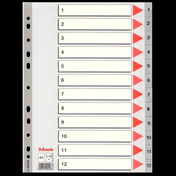 PRZEKŁADKI ESSELTE 1-12 A4 PP SZARE