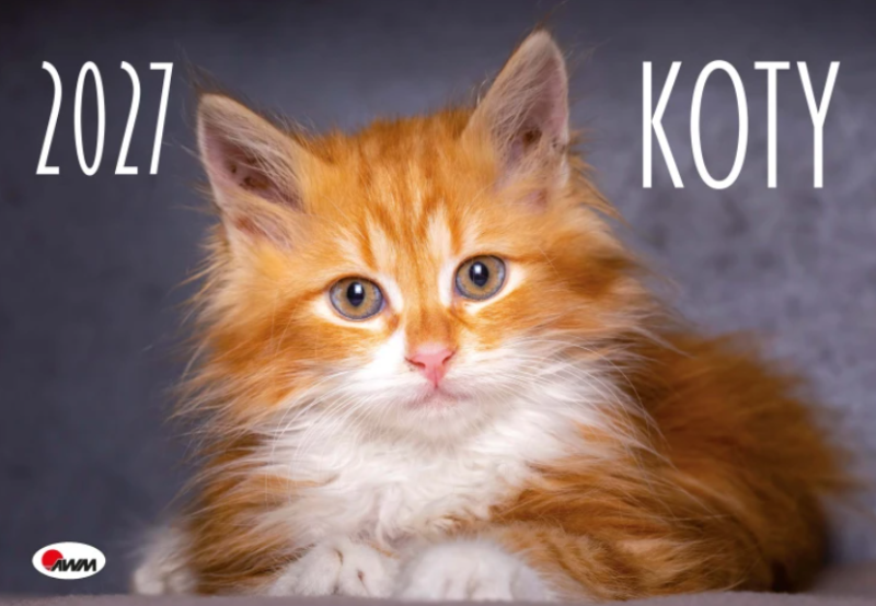 KALENDARZ KOTY KA2 2027