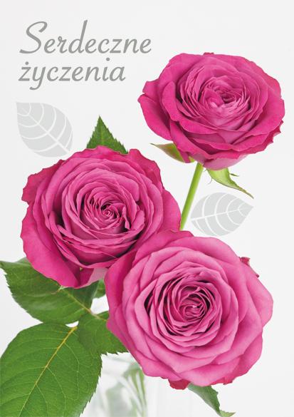 LAURKA B6B POLMAK BROKAT SERDECZNE ŻYCZENIA