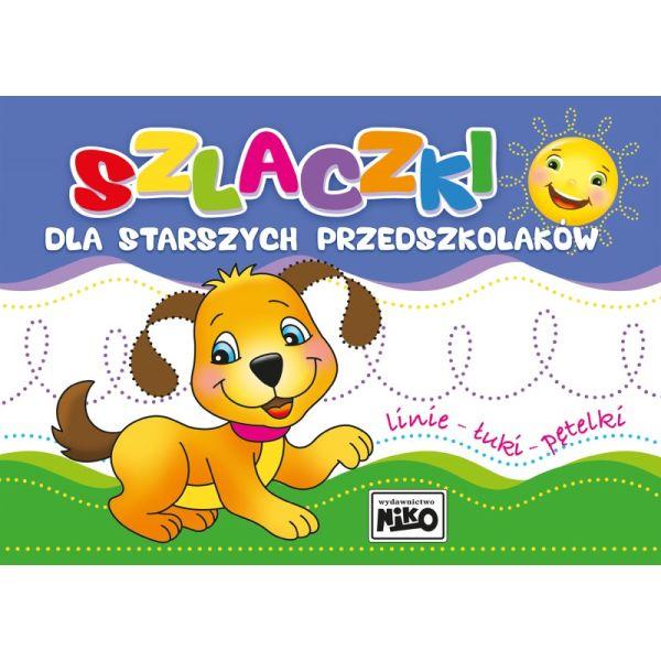 KSIĄŻECZKA SZLACZKI DLA STARSZYCH PRZEDSZKOLAKÓW-LINIE, ŁUKI, PĘTELKI