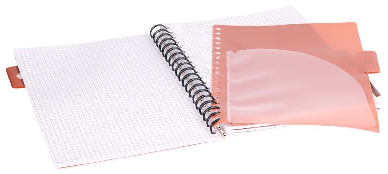 KOŁOZESZYT B5/100 # FLORAL BEŻOWY 80G STRIGO PADS