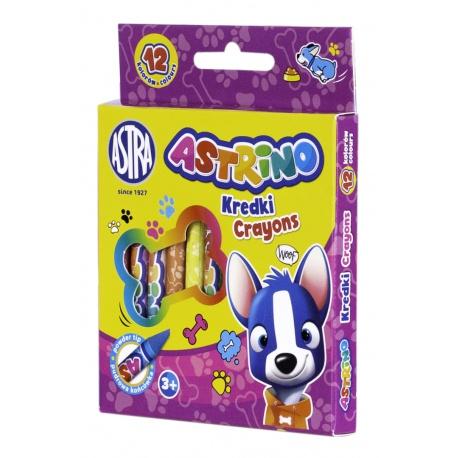 KREDKI GRAFIONOWE 12 ASTRINO