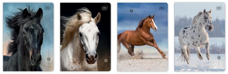ZESZYT A5/16 = KOLOROWA INTER UV WILD HORSES 70G