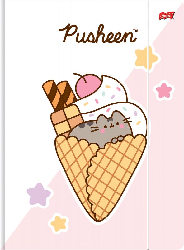 TECZKA Z GUMKĄ A4 PUSHEEN 300G