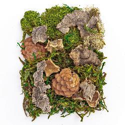 MECH I NATURALNE ELEMENTY MIX 30G #ŚWIĘTA