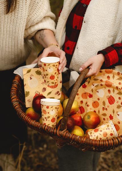 TALERZYKI PAP. DYNIE I ŻOŁĘDZIE 250ML POMARAŃCZOWE A/6