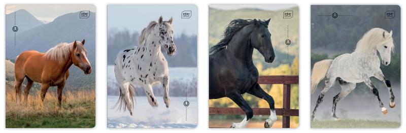 ZESZYT A5/32 = KOLOROWA INTER UV WILD HORSES 70G