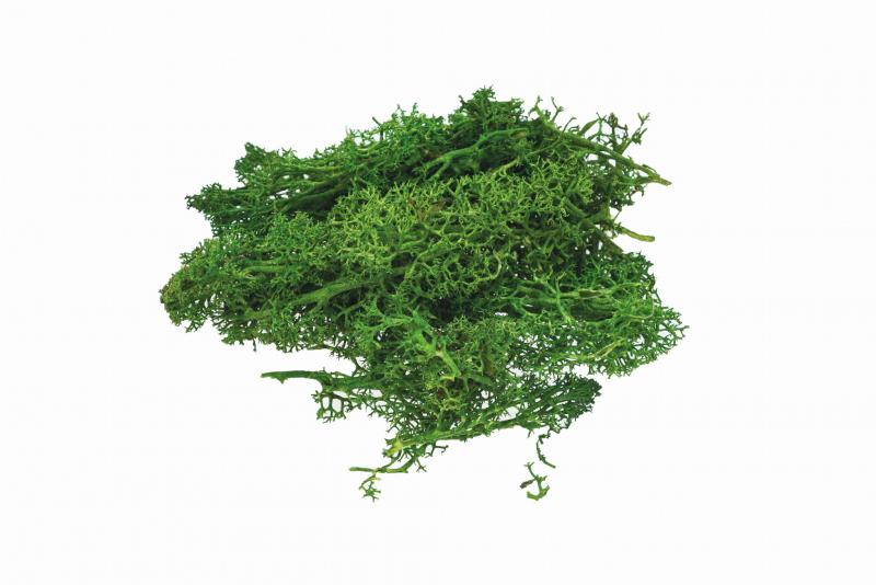 MECH JASNO ZIELONY 10G BREWIS