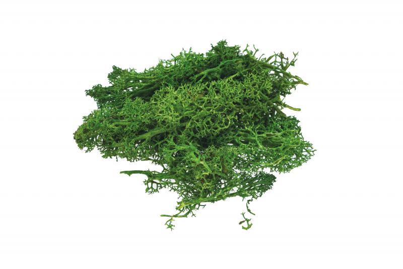MECH CIEMNOZIELONY 10G BREWIS
