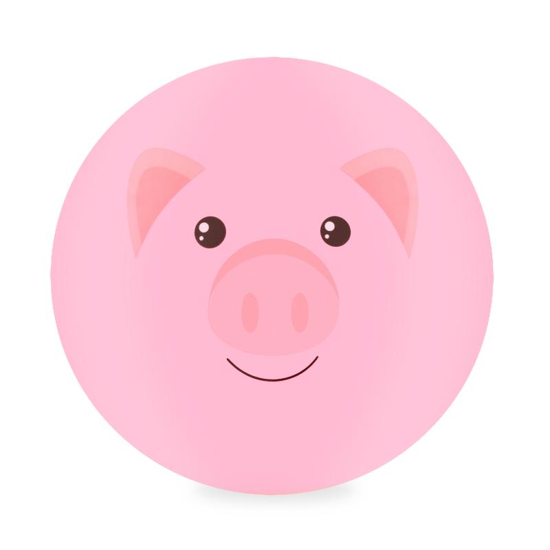 PIŁKA GUMOWA PIG