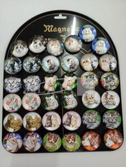 MAGNESY KOTY MG-0099 A36 1 BLACHA
