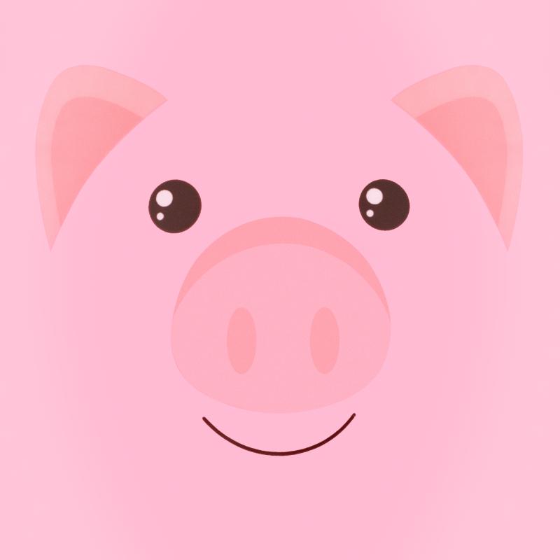 PIŁKA GUMOWA PIG