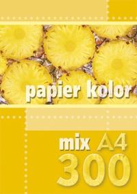 PAPIER KS.A4/300 MIX KRESKA