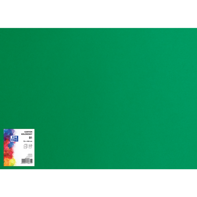 BRYSTOL B1 OXFORD CIEMNOZIELONY 225G A25