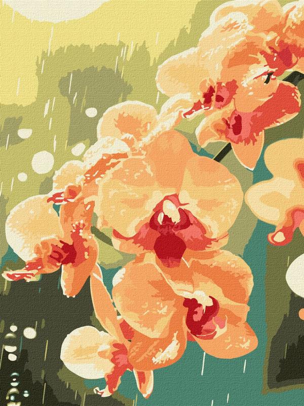ZESTAW DO MALOWANIA PO NUMERACH ORCHIDEA W KROPLACH 30X40CM