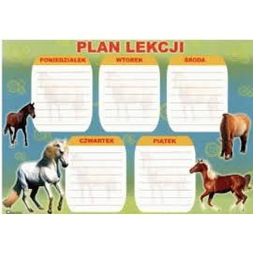 PLAN LEKCJI POLSYR A4/25