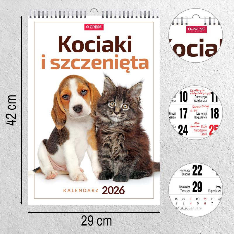 KALENDARZ ŚCIENNY A3 KOCIĘTA SZCZENIĘTA AREX SPIRALA