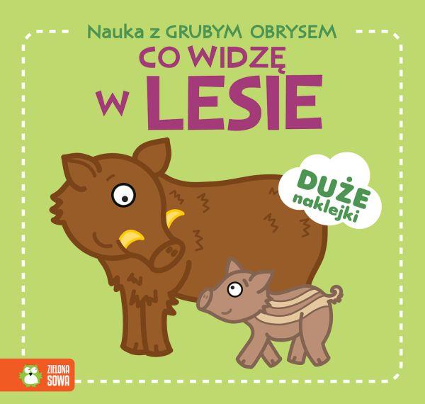 KSIĄŻECZKA NAUKA Z GRUBYM OBRYSEM.CO WIDZĘ W LESIE