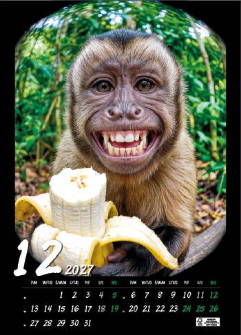 KALENDARZ WIELOPLANSZOWY HAPPY ANIMALS JOTAN STANDARD