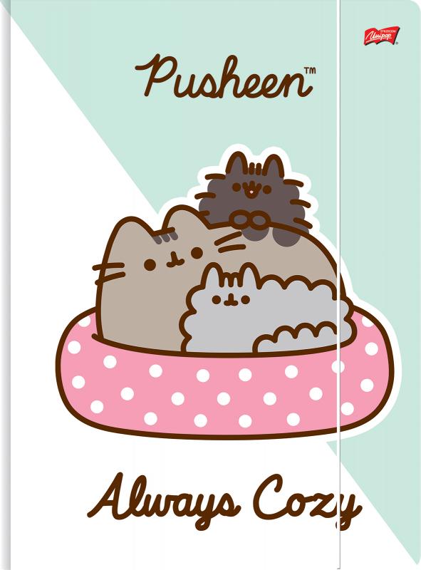 TECZKA Z GUMKĄ A4 PUSHEEN 300G