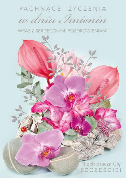 LAURKA B6 POLMAK EXTRA IMIENINY