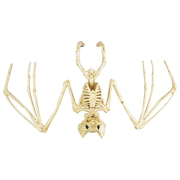 SZKIELET NIETOPERZA HALLOWEEN