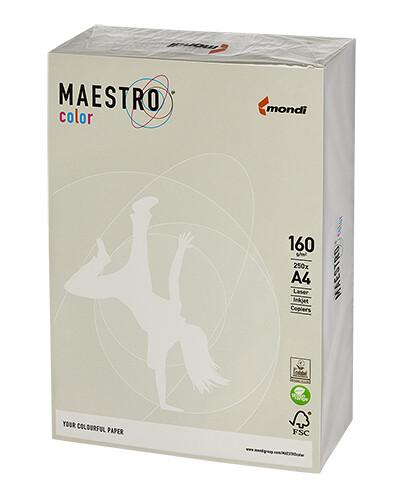 PAPIER KSERO A4 160G GR21 SZARY