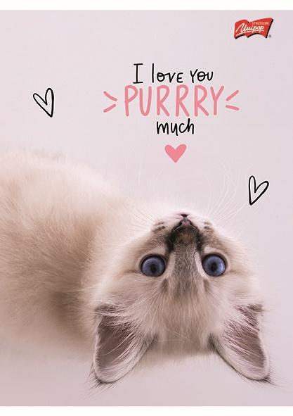 ZESZYT A5/60 = PURRFECT MOMENTS LAMINOWANY