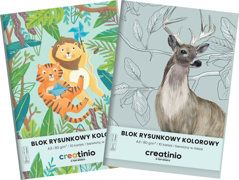 BLOK RYSUNKOWY A3/10 KOLOR TOP CREATINIO 80G