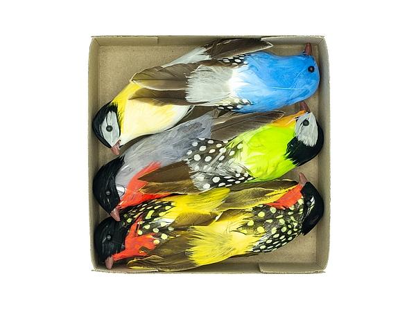 PTASZKI DEKORACYJNE PTD-6111 DISPL. 6 szt., 13 cm.