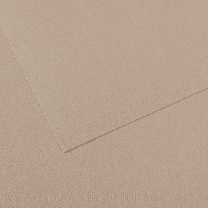 PAPIER PASTELOWY A4/25 122 SZARY 160G MI-TEINTES