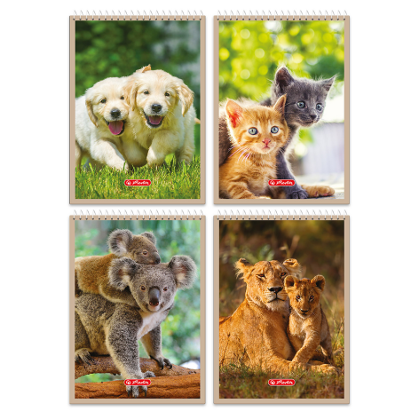 KOŁONOTATNIK A6/40 # HERLITZ ANIMALS
