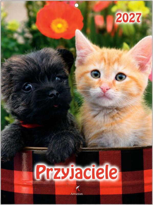 KALENDARZ B4 PRZYJACIELE KOLOR 2027