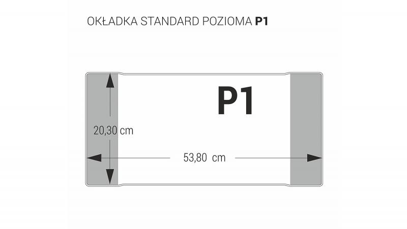 OKŁADKA P1 POZIOM A/25 DŁ538 WYS 205 KOD NA SZT OP.25