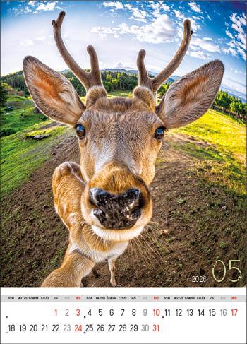 KALENDARZ WIELOPLANSZOWY SELFIE JOTAN STANDARD