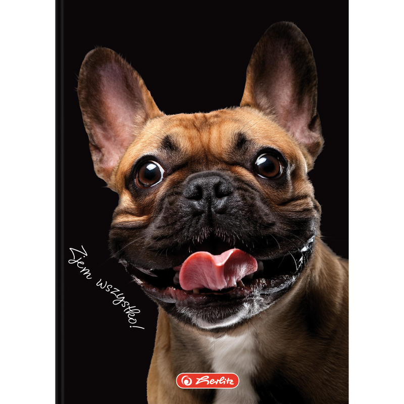 BRULION A6/80 # HERLITZ CRAZY ANIMALS 70G