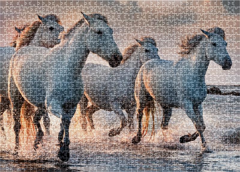 PUZZLE 1000 WILD HORSES 4
