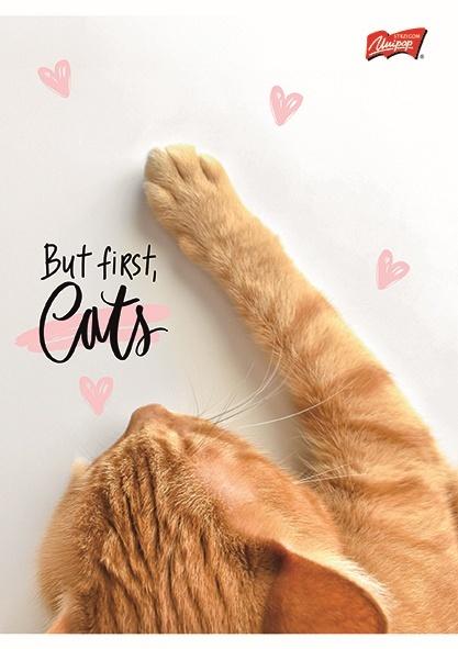 ZESZYT A5/60 # PURRFECT MOMENTS LAMINOWANY