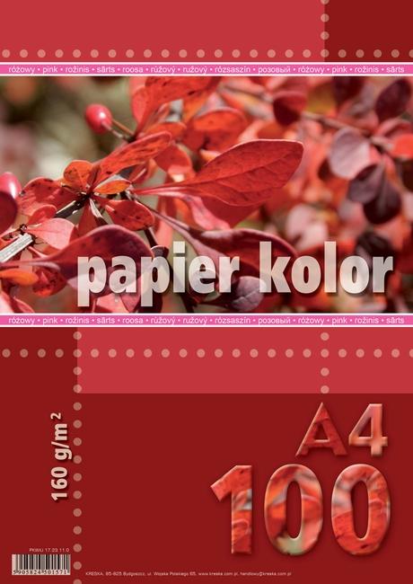 PAPIER KS.A4/100 160G RÓŻOWY KRESKA