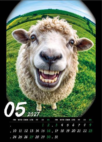 KALENDARZ WIELOPLANSZOWY HAPPY ANIMALS JOTAN STANDARD