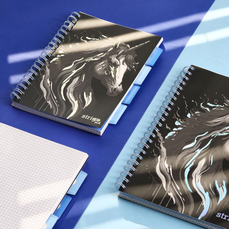 KOŁOZESZYT B5/100# UNICORN CZARNY 80G STRIGO