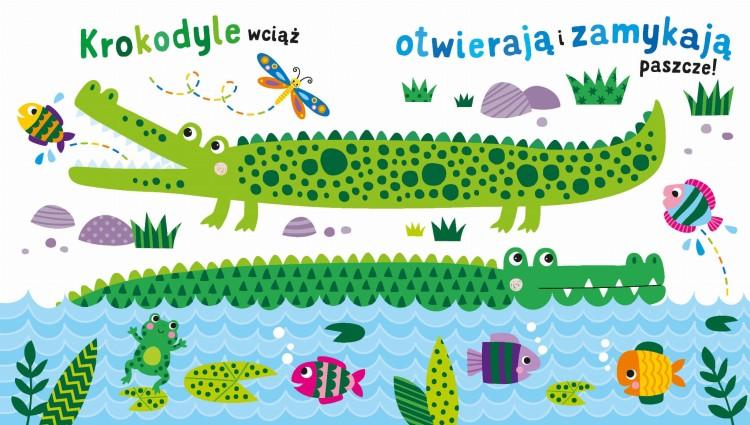KSIĄŻECZKA SENSOKSIĄŻKA SAFARII