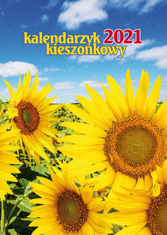 KALENDARZ KIESZONKOWY Z OKŁADKĄ 2027
