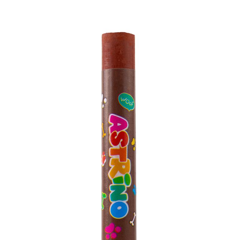PASTELE OLEJNE ASTRINO - 24 KOL.