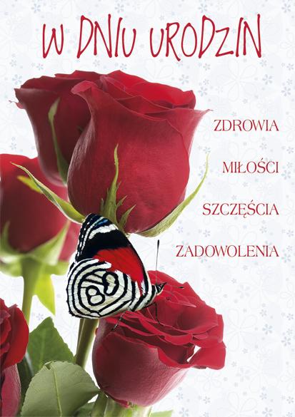 LAURKA B6B POLMAK BROKAT URODZINY