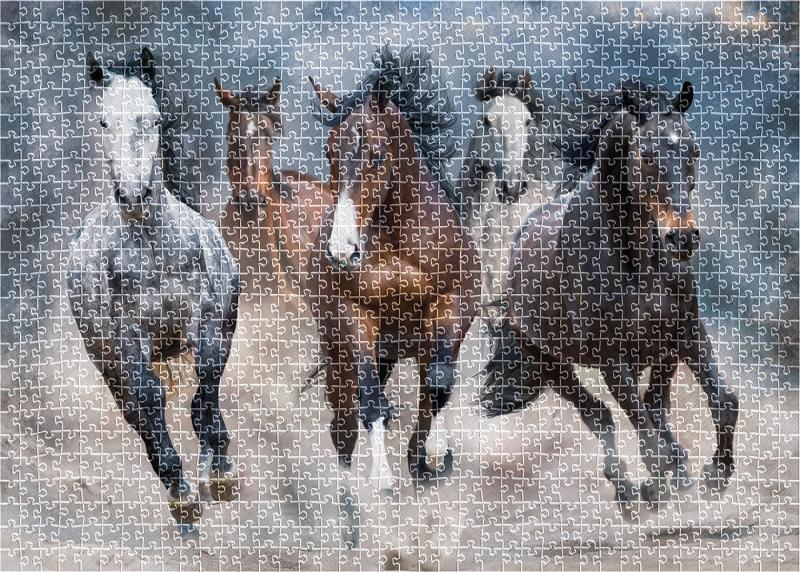 PUZZLE 1000 WILD HORSES 3